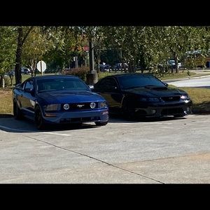 Meet your Posher, William